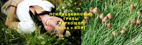 стафф Арсеньев
