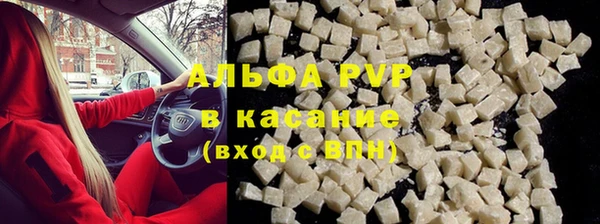 стафф Арсеньев